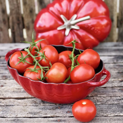 Staub Bratentopf Tomate Kirschrot 25 cm / 3 L